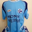 Third football shirt 2009