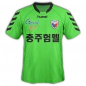 Home football shirt 2011
