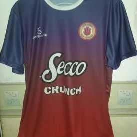 Club Atlético San Lorenzo Home football shirt 2016 sponsored by Secco