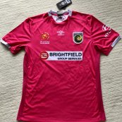 Third football shirt 2016 - 2017