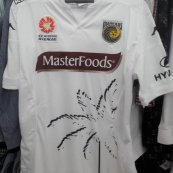 Special football shirt 2015 - 2016