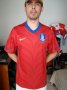 South Korea Home football shirt 2010 - 2012