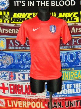 South Korea Home football shirt 2013 - 2014