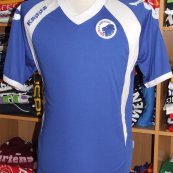 Training/Leisure football shirt 2008 - 2009
