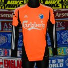 Goalkeeper football shirt 2012 - 2013
