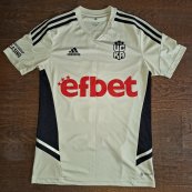 Third football shirt 2022 - 2023