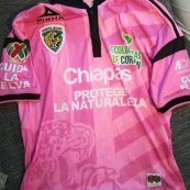 Third football shirt 2016 - 2015