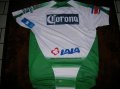 Santos Laguna Home football shirt 2007 - 2008