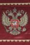 Russia Home football shirt 2009 - 2011