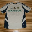 Home football shirt 2004 - 2005