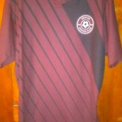 Home football shirt 2017