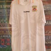 Special football shirt 2012 - 2013
