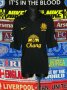 Everton Away football shirt 2012 - 2013