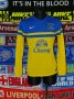 Everton Away football shirt 2013 - 2014