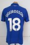 Everton Special football shirt 2017 - 2018