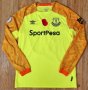 Everton Goalkeeper football shirt 2018 - 2019