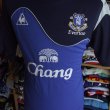 Training/Leisure football shirt 2009 - 2010