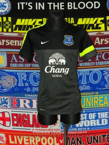 Everton Training/Leisure football shirt 2013 - 2014