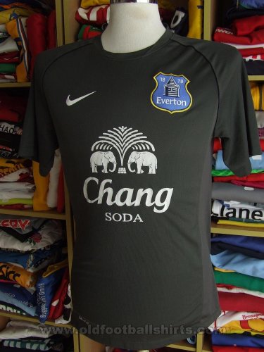 Everton Training/Leisure football shirt 2013 - 2014
