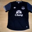 Training/Leisure football shirt 2015 - 2016