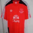 Training/Leisure football shirt 2016 - ?