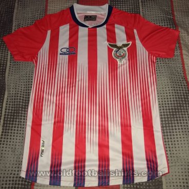 Tricolor de Paine Home football shirt 2019