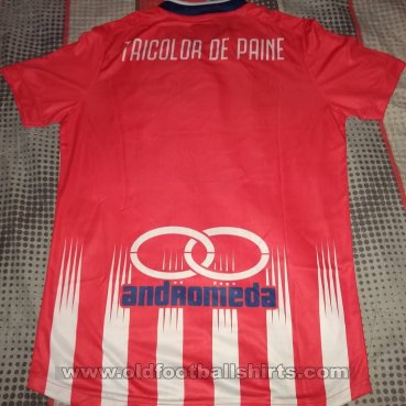 Tricolor de Paine Home football shirt 2019
