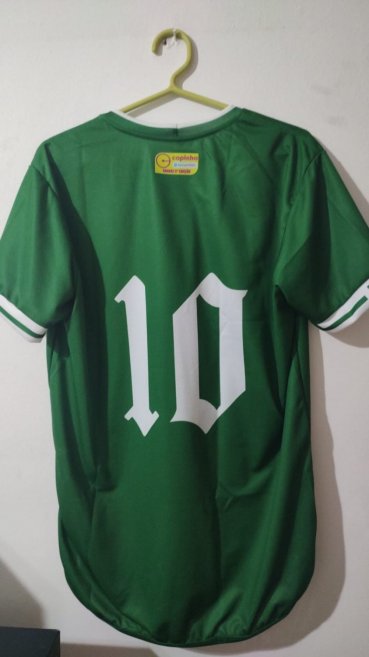 Tanabi Esporte Clube Home camisa de futebol 2025