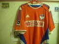  Albirex Niigata Home football shirt 2004 - 2006