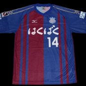 Home baju bolasepak 2011 - ?