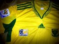South Africa Home football shirt 2010 - 2011