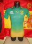 South Africa Away football shirt 2013 - 2014
