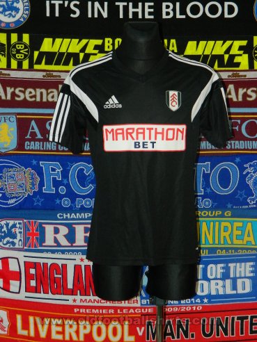 Fulham Training/Leisure football shirt 2013 - 2014