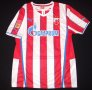 Red Star Belgrade Home φανέλα ποδόσφαιρου 2013 - 2014