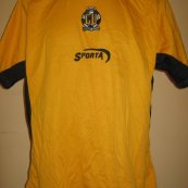 Training/Leisure football shirt 2003 - 2005