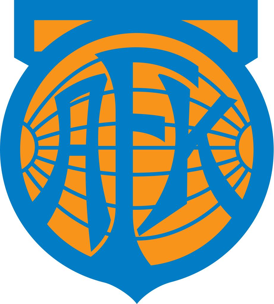Maillot edf 2003-2004 - Vêtements