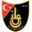 Istanbulspor crest