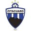 Potros Zitacuaro crest