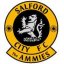 Salford City crest