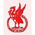 South Liverpool FC crest