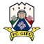 F.C. Gifu crest