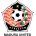 Persepam Madura United crest