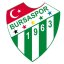 Bursaspor crest