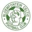 Bloemfontein Celtic crest