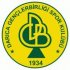 Darica Genclerbirligi crest