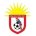Oslo City FC crest