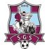 Sfântul Gheorghe Suruceni crest