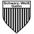 s.v. Schwarz-Weiß Gallin crest