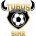 Toros de Veracruz FC crest