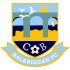 Balbriggan FC crest